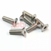 SUBRC, SBRC-S002 COUNTERSUNK STAINLESS STEEL 2X4MM 1.3MM HEX 10PCS